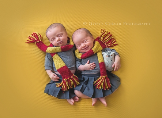 buffalo-twin-and-harry-potter-newborn-photographer-gypsys-corner-photography-73web