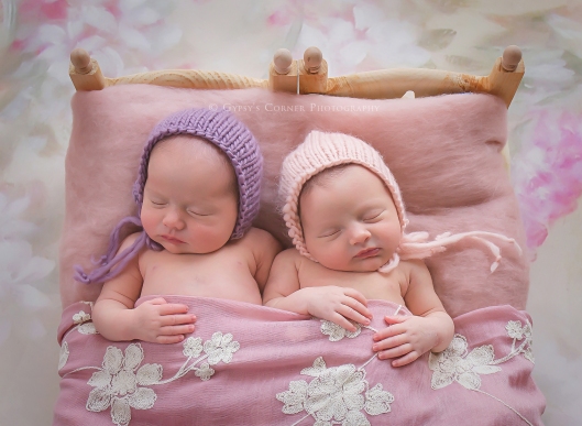 buffalo-twin-newborn-photographer-gypsys-corner-photography-16web