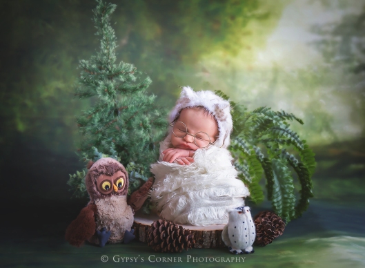 Buffalo Newborn and Baby photographer | Little Owls |Gypsy's Corner Photography-1Web