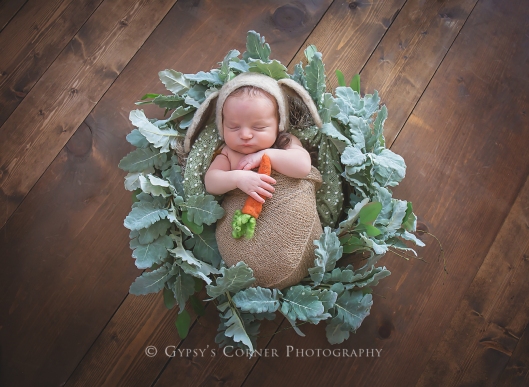 Bufffalo Newborn and Baby Photographer | Easter Bunny | Gypsy's Corner Photography-15Web