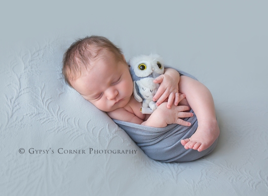 Bufffalo Newborn and Baby Photographer | Little Owl | Gypsy's Corner Photography-105Web