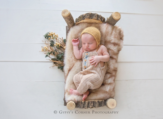 WNY Buffalo Newborn and Baby photographer | Gypsy's Corner Photography-29Web