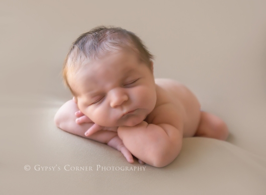 WNY Buffalo Newborn and Baby photographer | Gypsy's Corner Photography-49Web