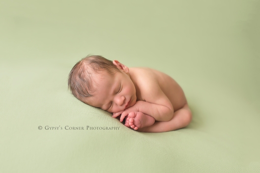 Buffalo Newborn Photographer|Baby boy all curled up|Gypsy's Corner Photography-7Web