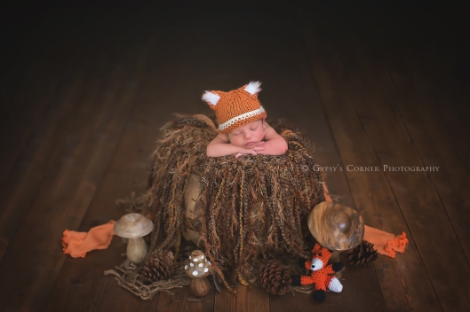 Buffalo Newborn Photographer|Baby boy as a little fox|Gypsy's Corner Photography-118Web