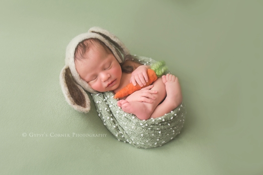 Buffalo Newborn Photographer|Baby boy Bunny and a carrot|Gypsy's Corner Photography-18Web