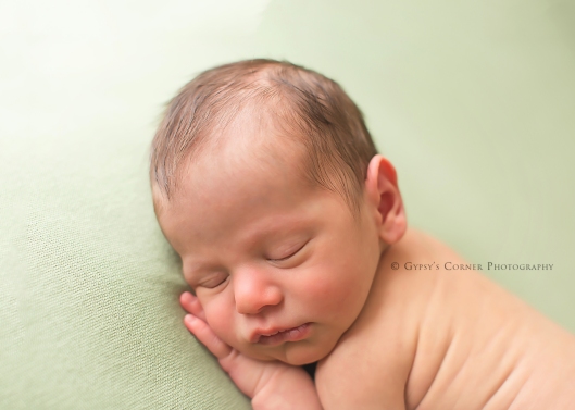 Buffalo Newborn Photographer|Baby boy Close up|Gypsy's Corner Photography-17Web