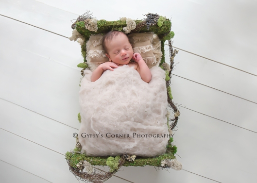 Buffalo Newborn Photographer|Baby boy in a mossbed|Gypsy's Corner Photography-131Web