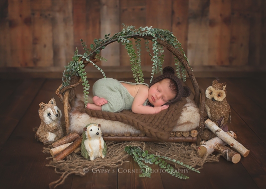 Buffalo Newborn Photographer|Baby boy Woodland|Gypsy's Corner Photography-68Web