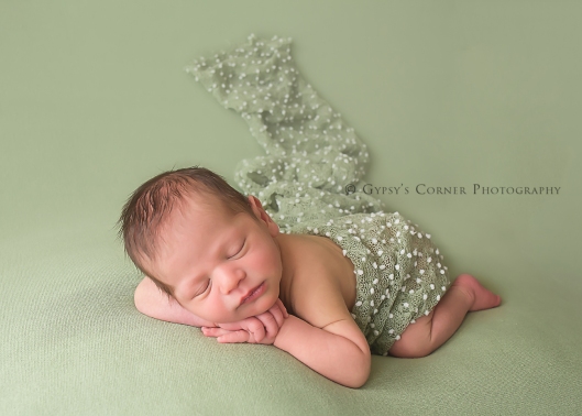 WNY Newborn Photographer|Baby boy on Mint Green|Gypsy's Corner Photography-12Web